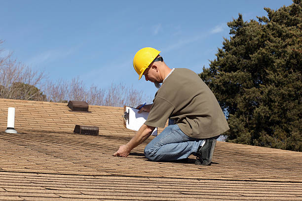 Best Chimney Flashing Repair  in Citrus Park, FL